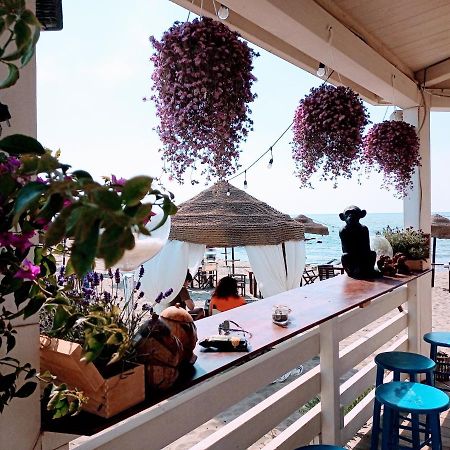 B&B Purple Italy Fiumicino Buitenkant foto